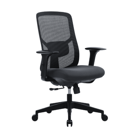 Basic Ergonomic Chair for offices