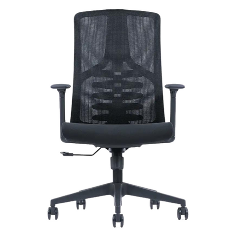 Everyday Ergonomic Chair