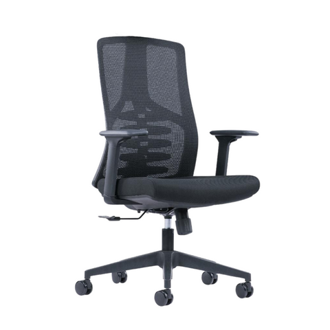Everyday Ergonomic Chair