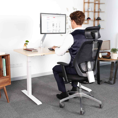 TEKDESK electric standing desk height adjustable sit stand desk south africa